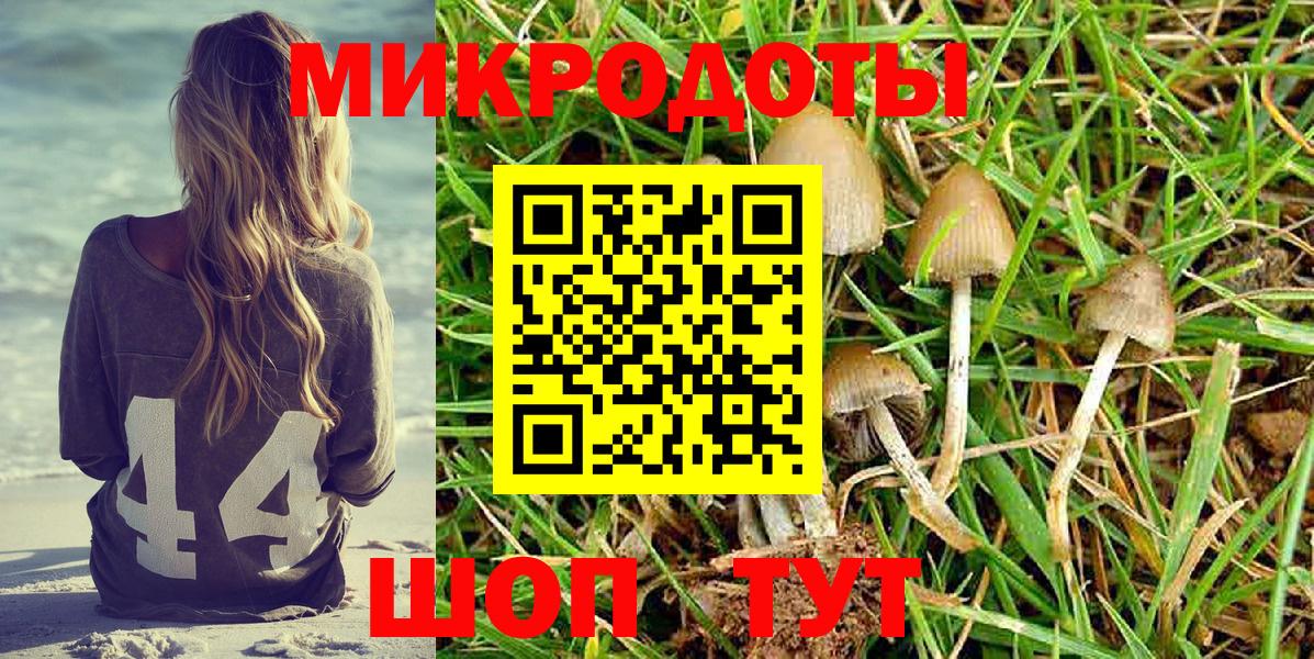 Псилоцибиновые грибы Psilocybine cubensis Воткинск